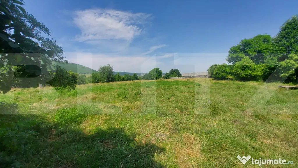 Casa + teren intravil, 3.6 ha I Zagon I Potential turistic s