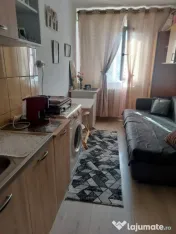 Camera de camin, 10.50 mp, zona Valea Rosie