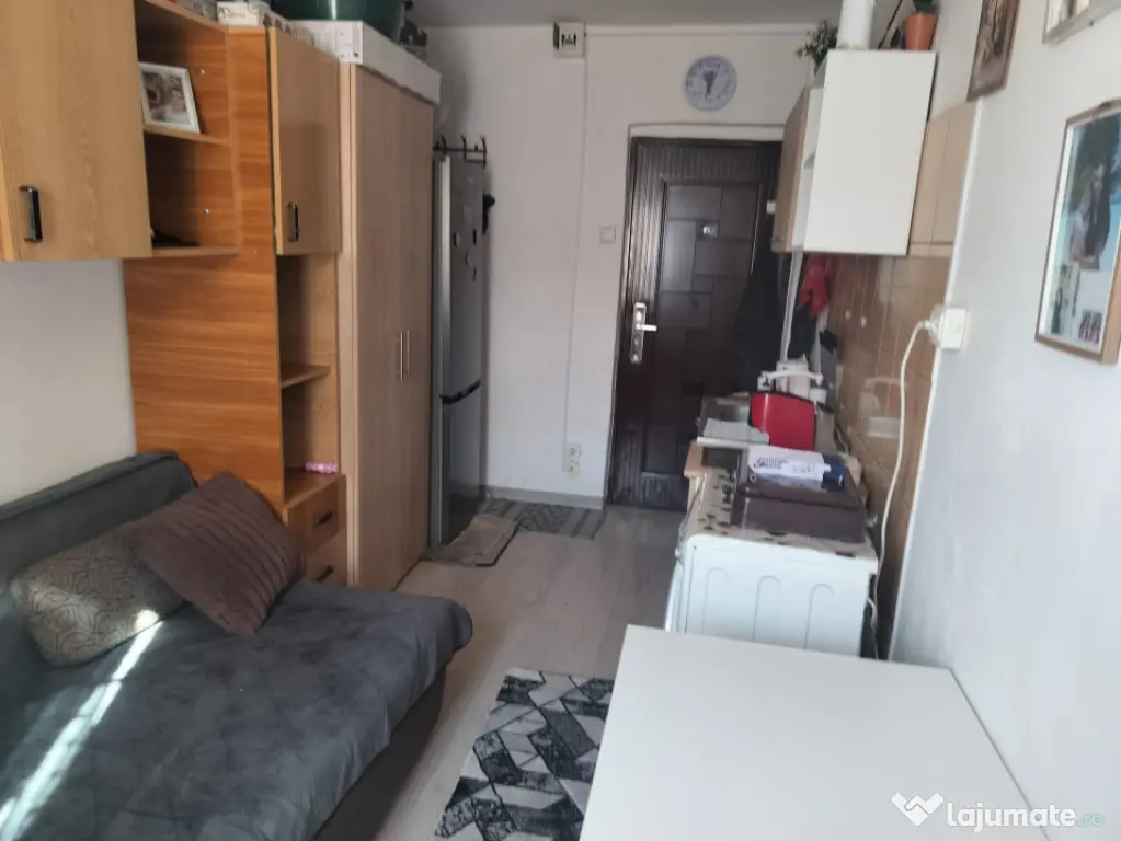 Camera de camin, 10.50 mp, zona Valea Rosie