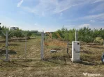 TEREN INTRAVILAN | 1000 MP | PALEU | BIHOR