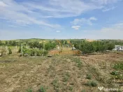 TEREN INTRAVILAN | 1000 MP | PALEU | BIHOR 