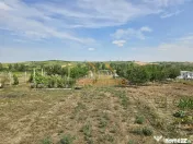 TEREN INTRAVILAN | 1000 MP | PALEU | BIHOR