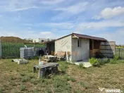 TEREN INTRAVILAN | 1000 MP | PALEU | BIHOR