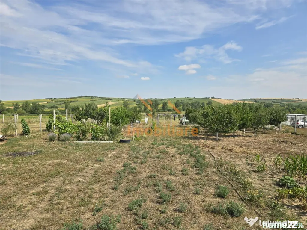 TEREN INTRAVILAN | 1000 MP | PALEU | BIHOR