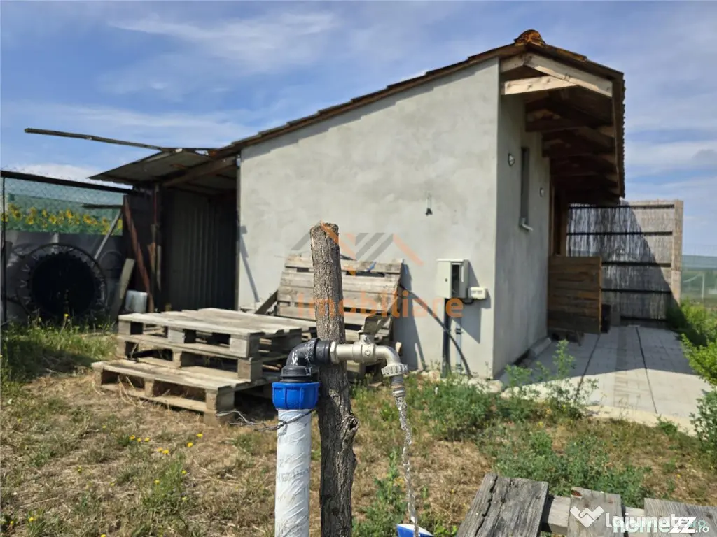TEREN INTRAVILAN | 1000 MP | PALEU | BIHOR