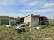 TEREN INTRAVILAN | 1000 MP | PALEU | BIHOR 