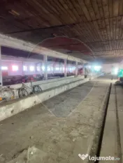 Spațiu Industrial de Închiriat | zona industriala Sofronea