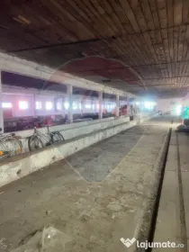 Spațiu Industrial de Închiriat | zona industriala Sofronea