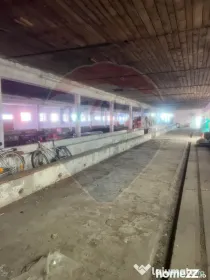 Spațiu Industrial de Închiriat | zona industriala Sofronea