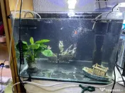 Acvariu 50 litri 