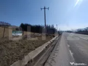 Teren Intravilan de 12 ari în Crainimat
