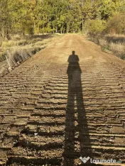 Teren 1000 mp Ordoreanu, lângă pădure și râu cu utilit?