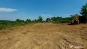 Teren intravilan , Bucium Barnova