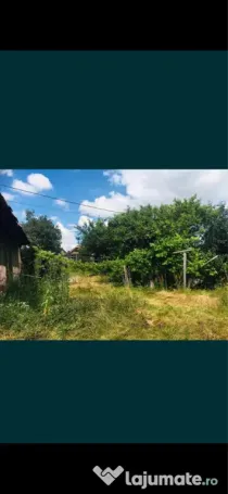 Teren de vânzare 2900mp
