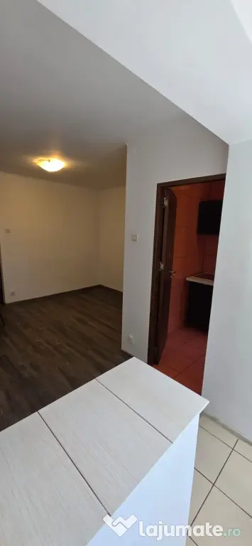 Proprietar vand Garsoniera Fizicienilor