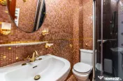 Casa/Vila Premium de vanzare Lacul Snagov / ponton / pisc... 