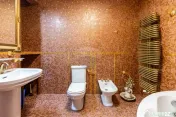 Casa/Vila Premium de vanzare Lacul Snagov / ponton / pisc...