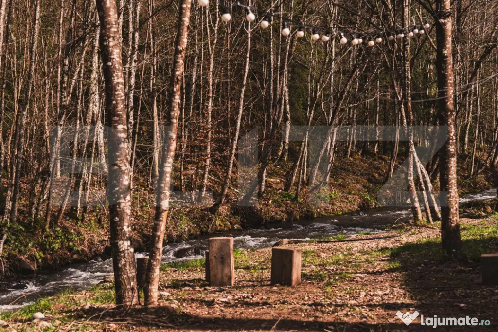 Resort montan premium de vanzare - Colibita