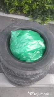 ZUGRAVIM CURAT SI PROFESIONIIST