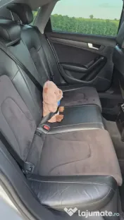 Audi A4 B8.5 facelift, 1.8TFSI 170 cp, cutie manuala 