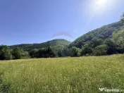 Teren Scrind-Frasinet 2 ha