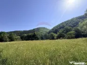 Teren Scrind-Frasinet 2 ha