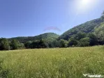 Teren Scrind-Frasinet 2 ha
