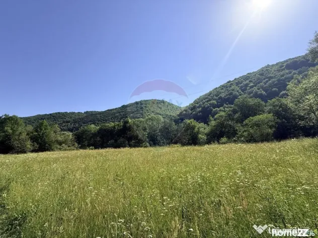 Teren Scrind-Frasinet 2 ha