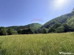Teren Scrind-Frasinet 2 ha