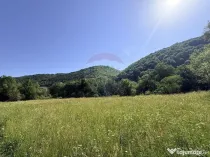 Teren Scrind-Frasinet 2 ha