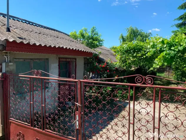 Casa+teren comuna nana,jud calarasi