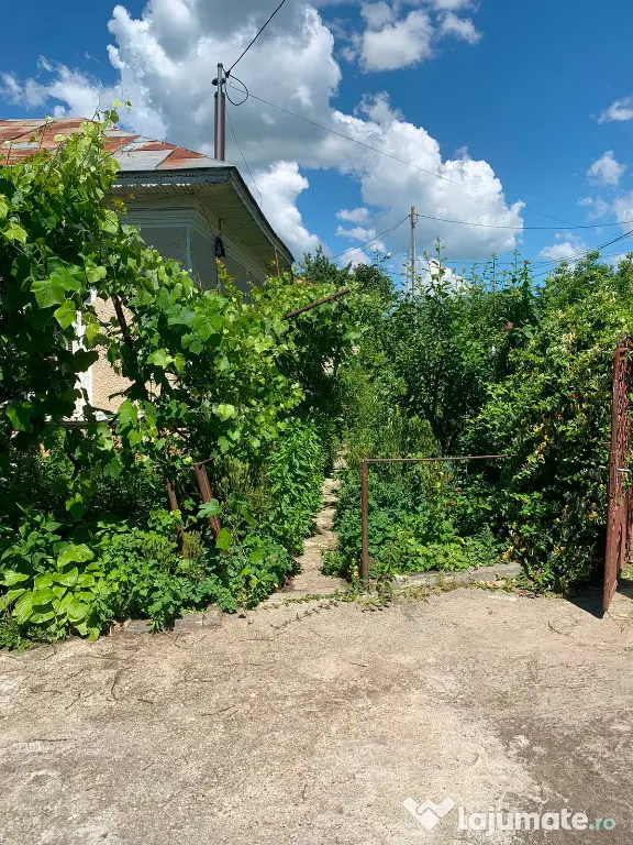 Casa+teren comuna nana,jud calarasi