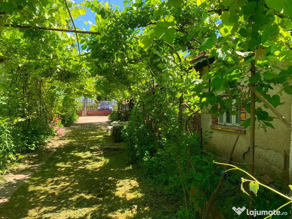 Casa+teren comuna nana,jud calarasi
