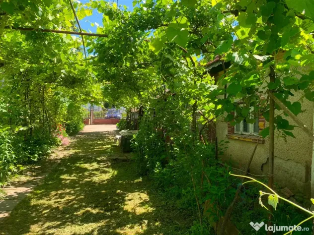 Casa+teren comuna nana,jud calarasi