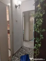 Caut coleg/colega de apartament 