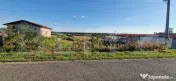 Teren intravilan Breasta, 1000mp