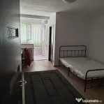 Iancului elev stefanescu etaj 4