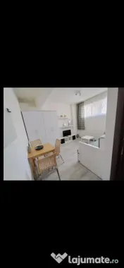 Dimitrie leonida oituz demisol 