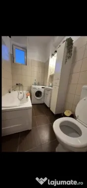 Dimitrie leonida oituz demisol 