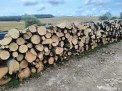 Lemn de calitate carpen sí stejar 