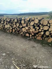 Lemn de calitate carpen sí stejar 
