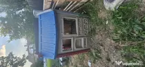 Căsuța de grădină copii