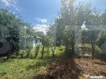 Casă individuală, 55 mp, teren 5000mp, Schit Orășeni, Co