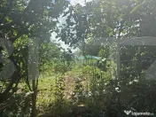 Casă individuală, 55 mp, teren 5000mp, Schit Orășeni, Co 