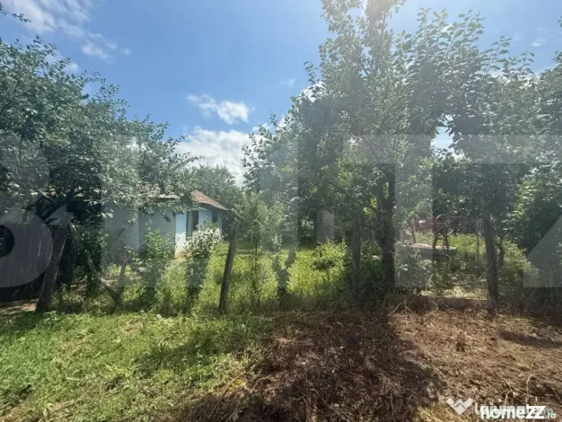 Casă individuală, 55 mp, teren 5000mp, Schit Orășeni, Co - Schit Oraseni (Botosani)