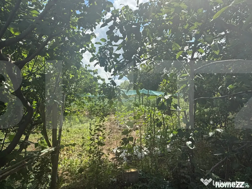 Casă individuală, 55 mp, teren 5000mp, Schit Orășeni, Co - Schit Oraseni (Botosani)