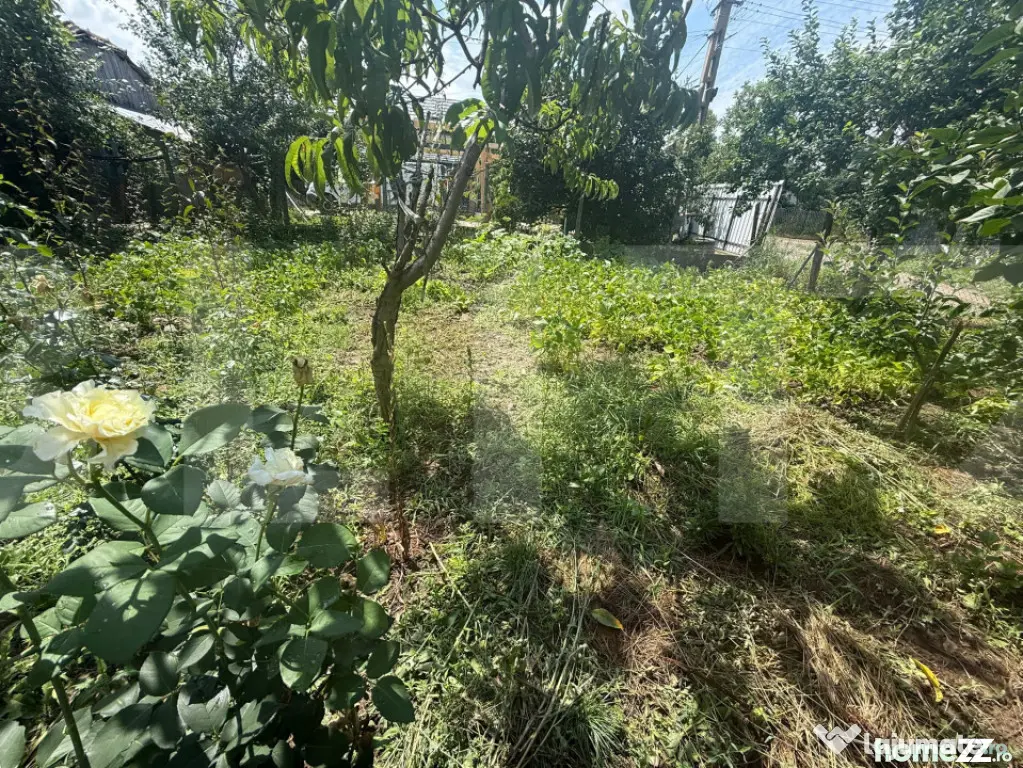 Casă individuală, 55 mp, teren 5000mp, Schit Orășeni, Co - Schit Oraseni (Botosani)