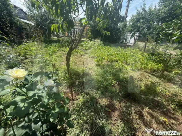Casă individuală, 55 mp, teren 5000mp, Schit Orășeni, Co - Schit Oraseni (Botosani)