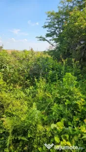 Teren intravilan 1.000 mp – Butimanu, Dâmbovița, 24 ml d 