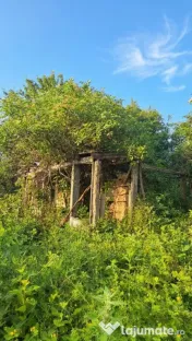 Teren intravilan 1.000 mp – Butimanu, Dâmbovița, 24 ml d 
